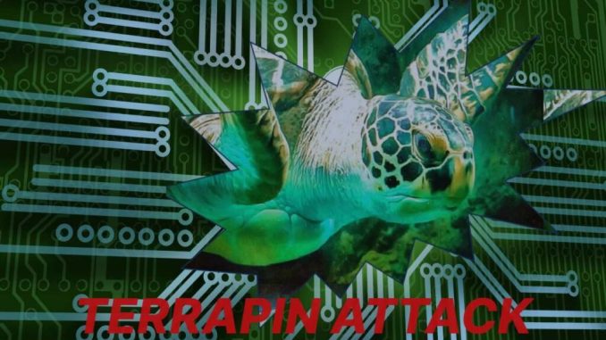 terrapinattack