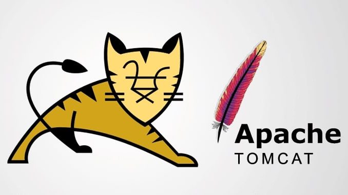 tomcat